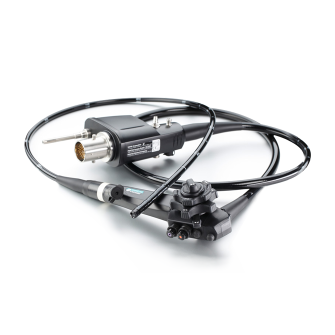 EG 2990Zi